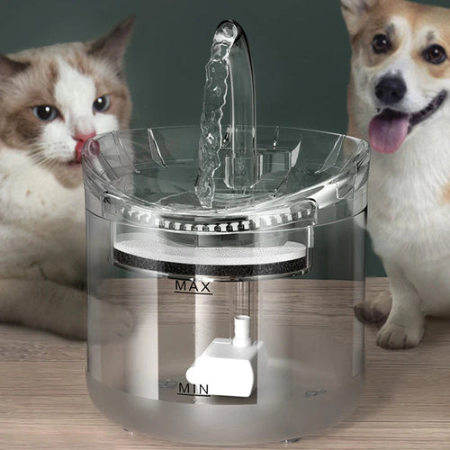 Bebedero Automático Para Mascotas Con Sensor