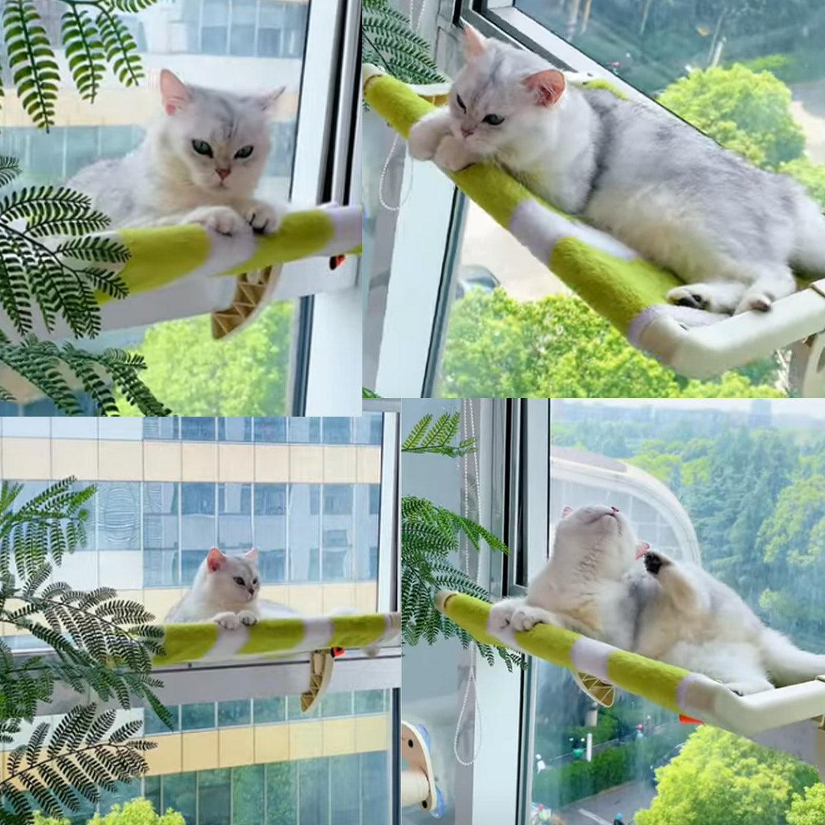 Hamaca Suspensa Gato Pet